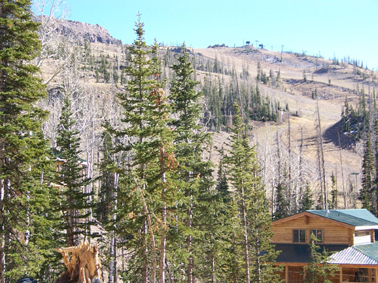 Ski Haven Chalets